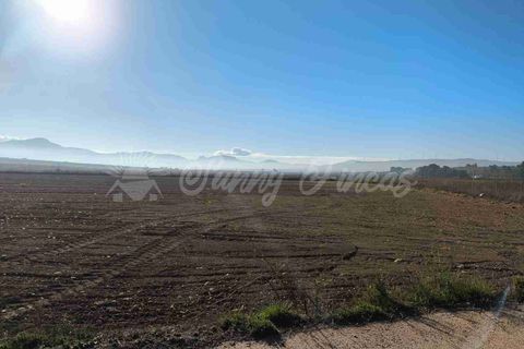 Landejendom i Yecla, Murcia, Yecla - € 63.000 | Ref: SF0550 - foto 28